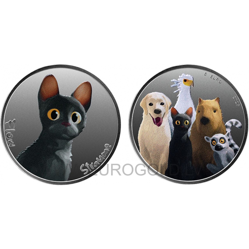 Buy Latvia 5 euro 2025 - The Flow